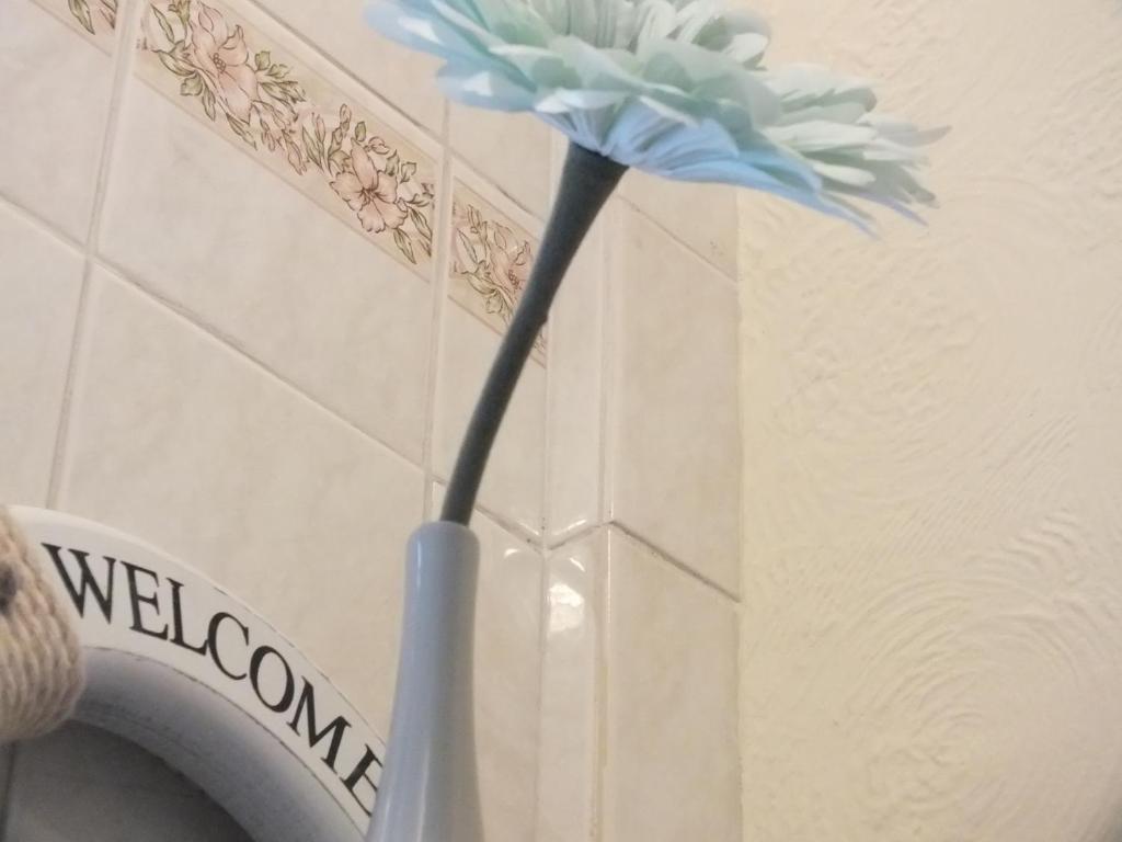 Leonardos Guest House Swansea Chambre photo